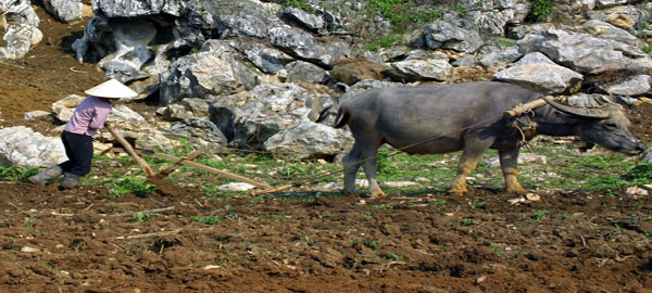 NGƯỜI ĐÀN BÀ ĐIÊN